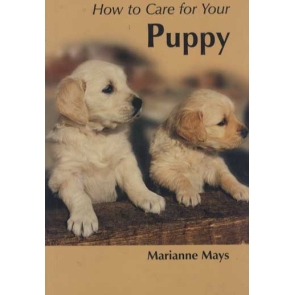 Marianne Mays Your First Puppy Condition: Used / Very Good Kingdom Books (Feb 2000) 9781852791667 | Paperback 36 pages | 132 x 206 mm | United Kingdom | English